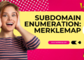 subdomain enumeration